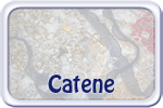 Catene